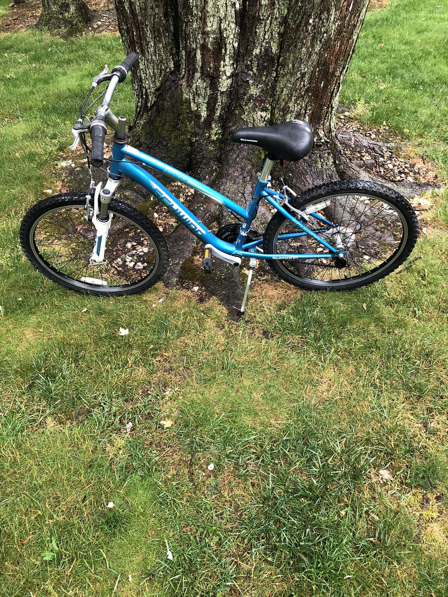 24” Schwinn Mountain Bike