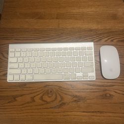 Apple Mouse and Keyboard 