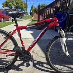 Schwinn Mountain Bike Medium Size