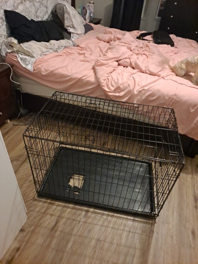Large Dog Cage