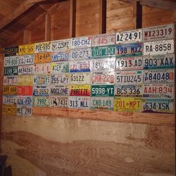 All 50 States License Plate Collection