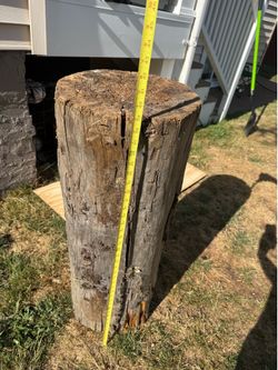 Free stump game