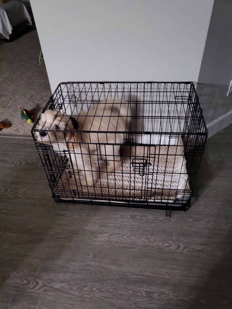 Medium Size Dog crate