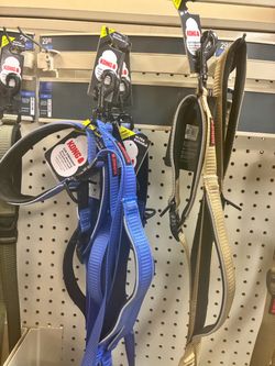 Dog leash