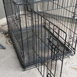 Kennel