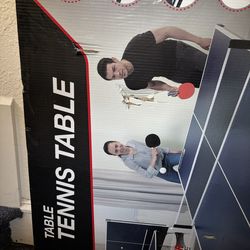 Ping Pong Table