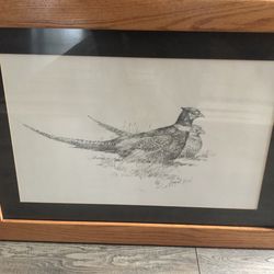 For pheasant lovers 18 x 22” framed