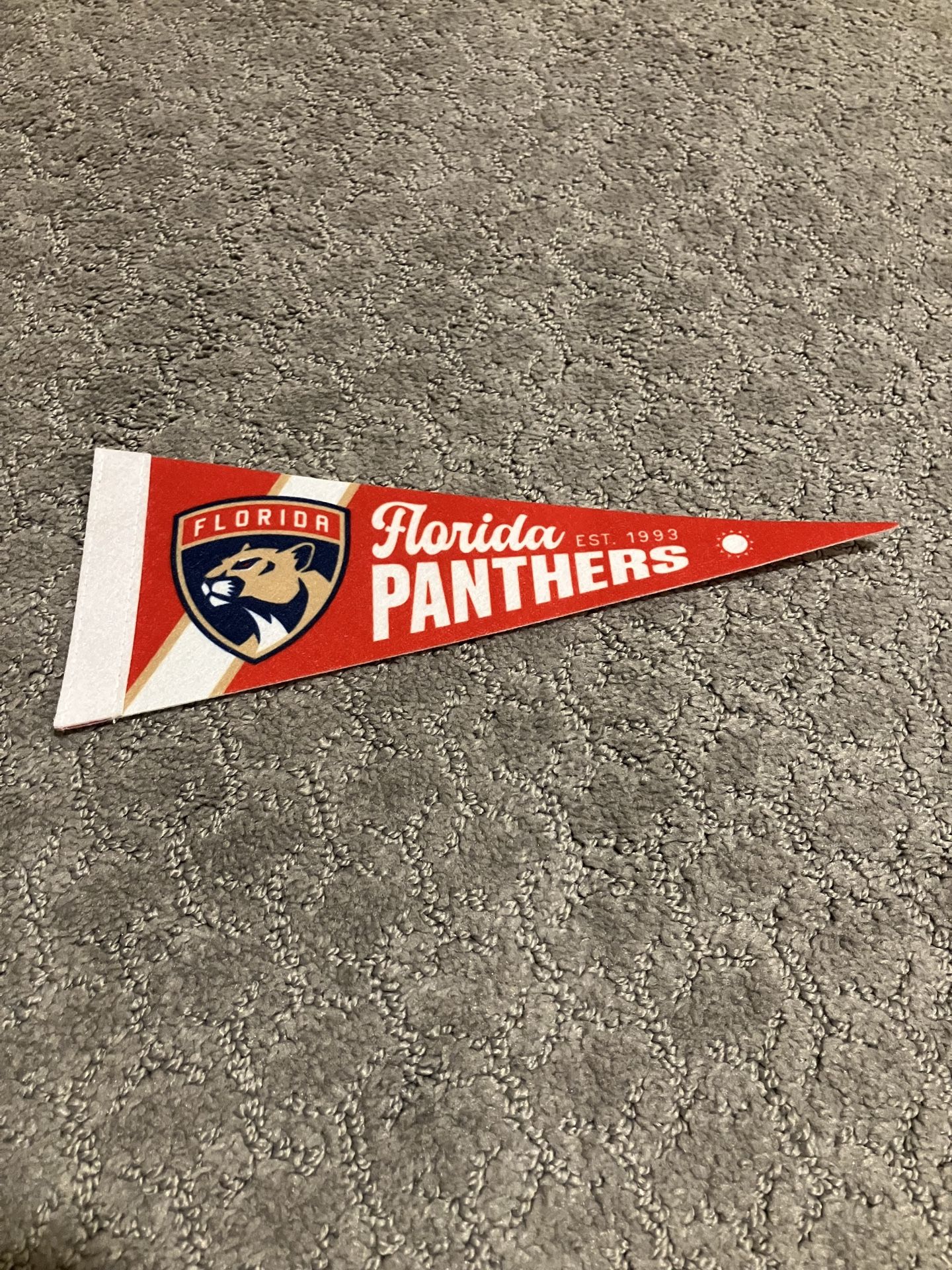 Florida Panthers Mini Pennant 4x10 Inches