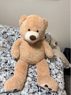 Large Teddy bear