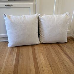 Two Sofa Pillows (Firm backing)