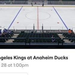 Kings at  Ducks