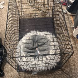 Dog Kennel 