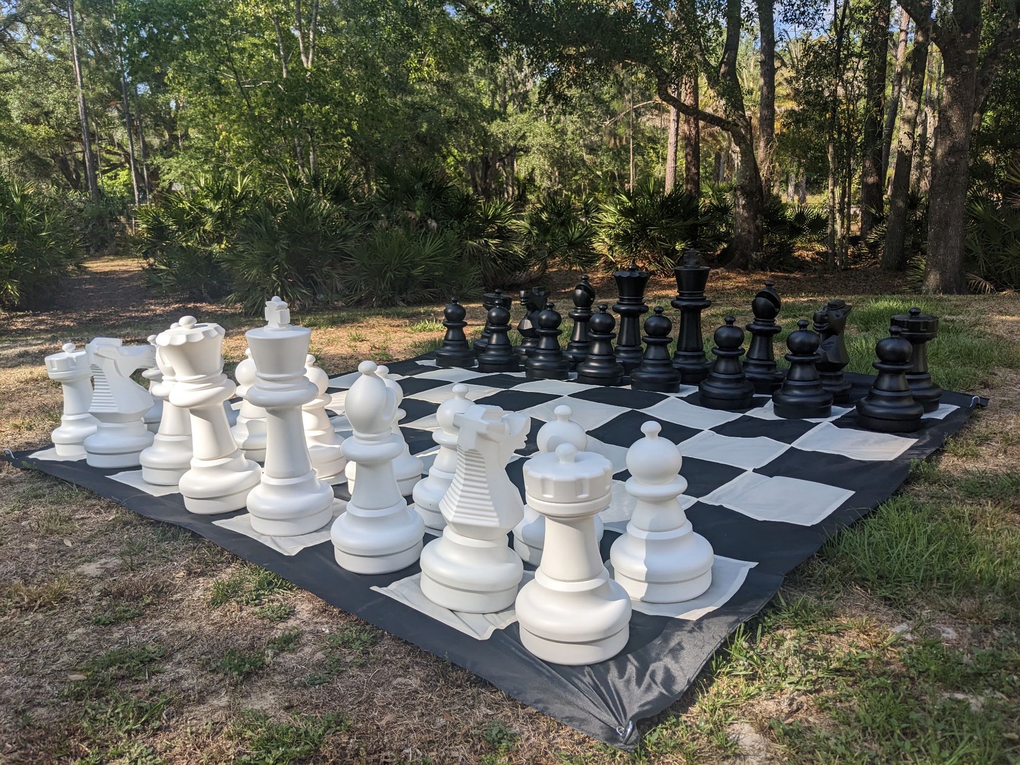 Mega Chess Set