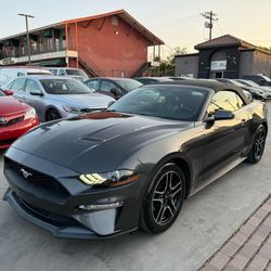 2020 Ford Mustang