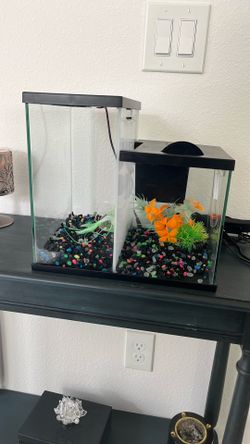 Beta 3 Gallon Double Tank Aquarium 