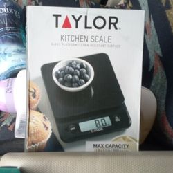 Taylor Kitchen Scale Stain Resistant Surface 