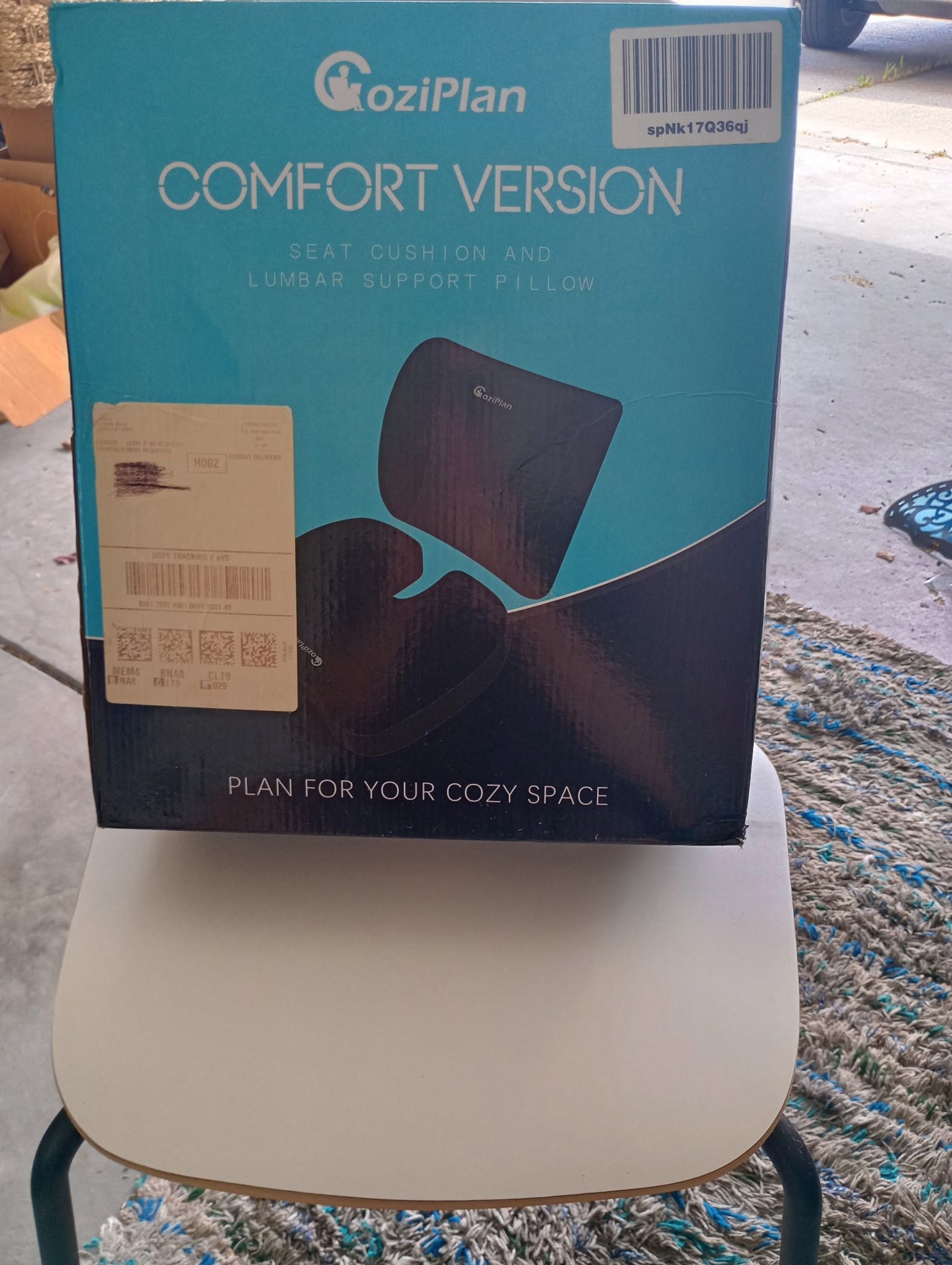 Chair And Seat Cushion 