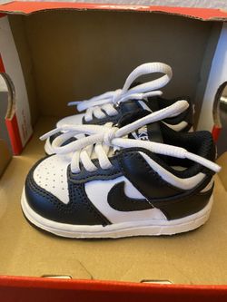 Nike Dunk Toddler 