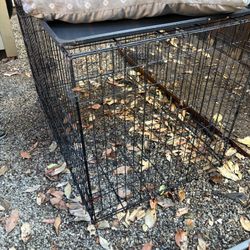 XL Dog Kennel