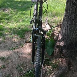 Trek Verve 2