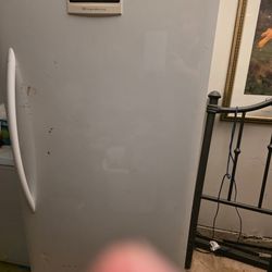21-24 cubits Frezer