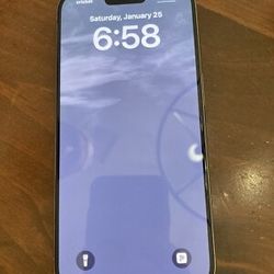 iPhone 15 Pro Max 256 Gb 