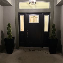 Entrance Planters $250 For (2)