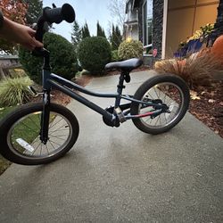 GIANT 16inch Animator Bike