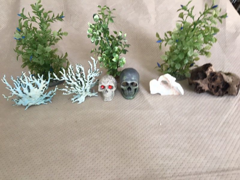 Fish tank decorations