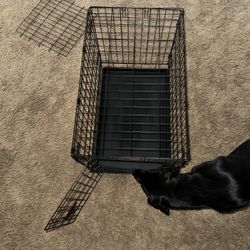 Dog Crate/Puppy/small 