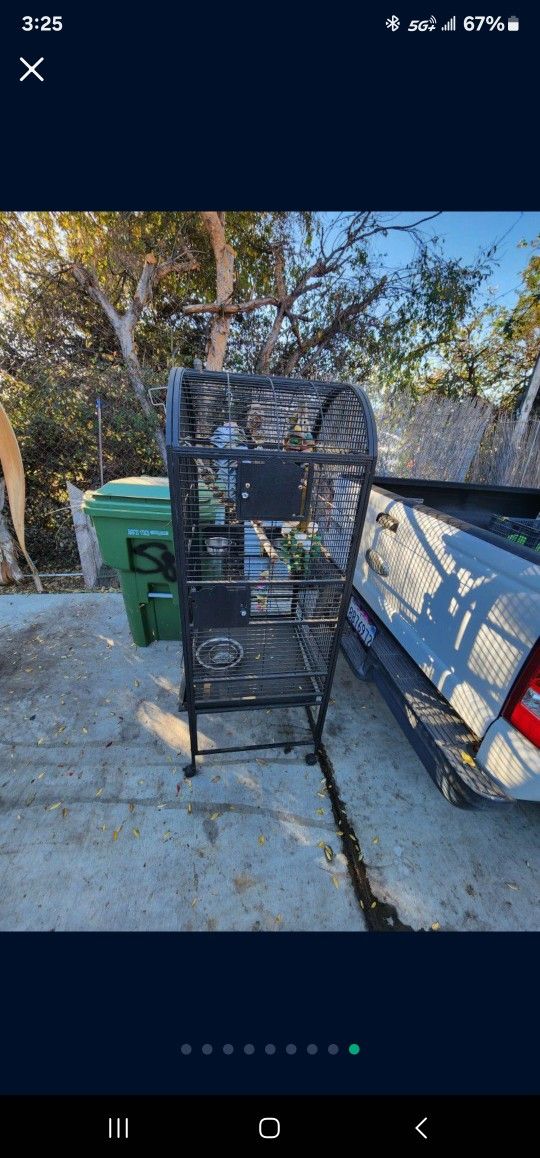 Parrot Cage