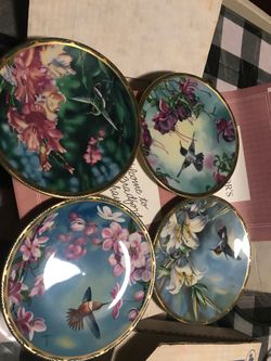 Hummingbird collection