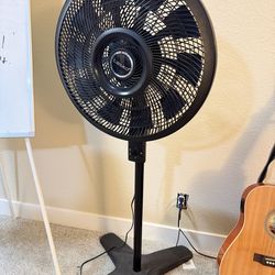 Table fan