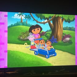 55 Inch TV 