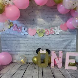 1st Birthday Minnie Mouse Decorations 