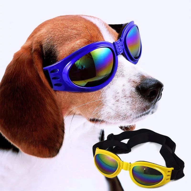 Super Lit Pet Sunglasses