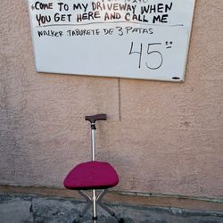 Baston With Seat