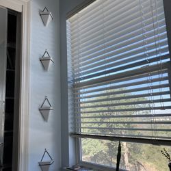 Hanging Plant Holders