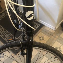 Giant Bike