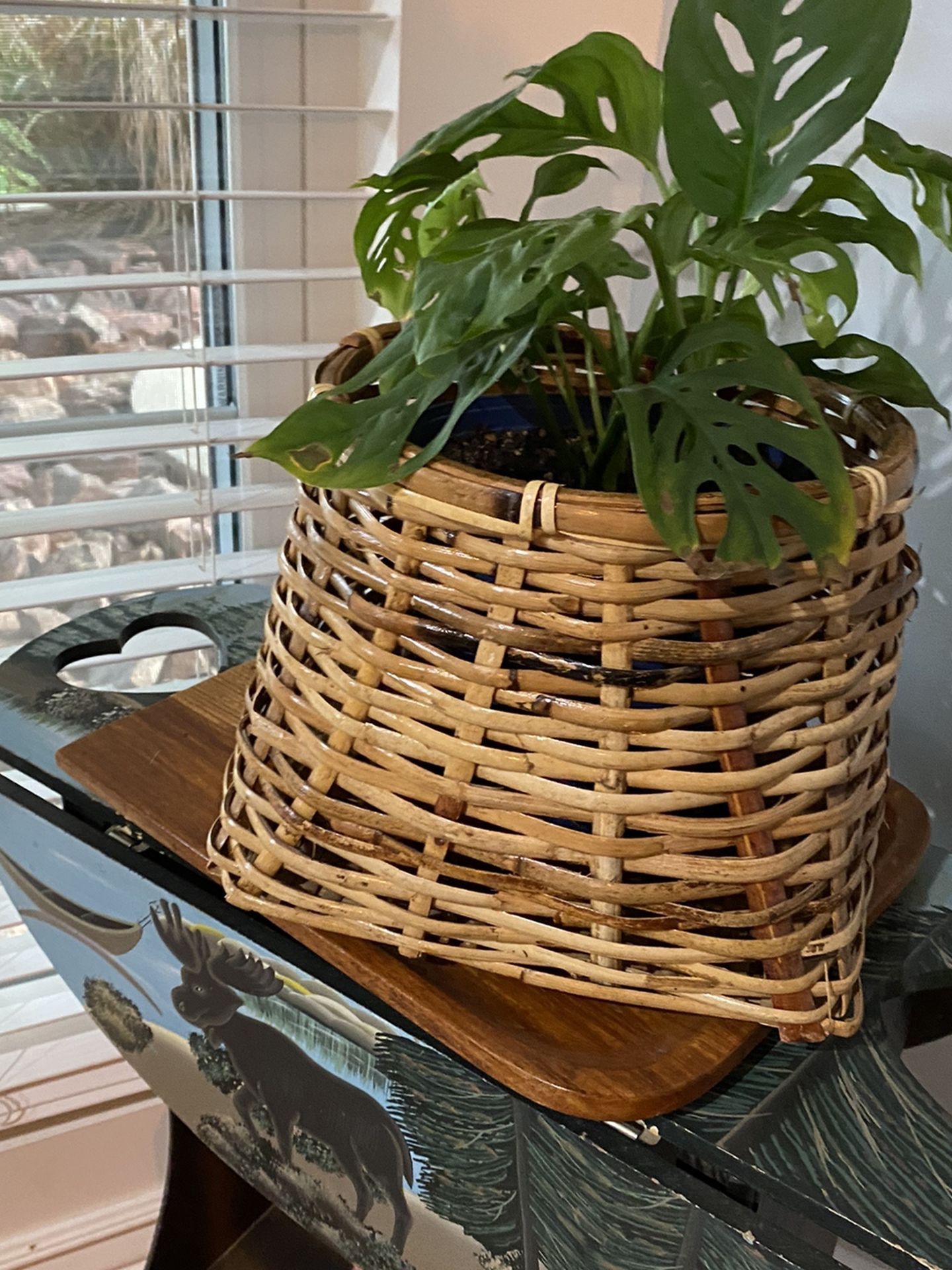 Vintage Boho Wicker Plant Basket