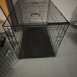 Large Dog Crate (1 Available)