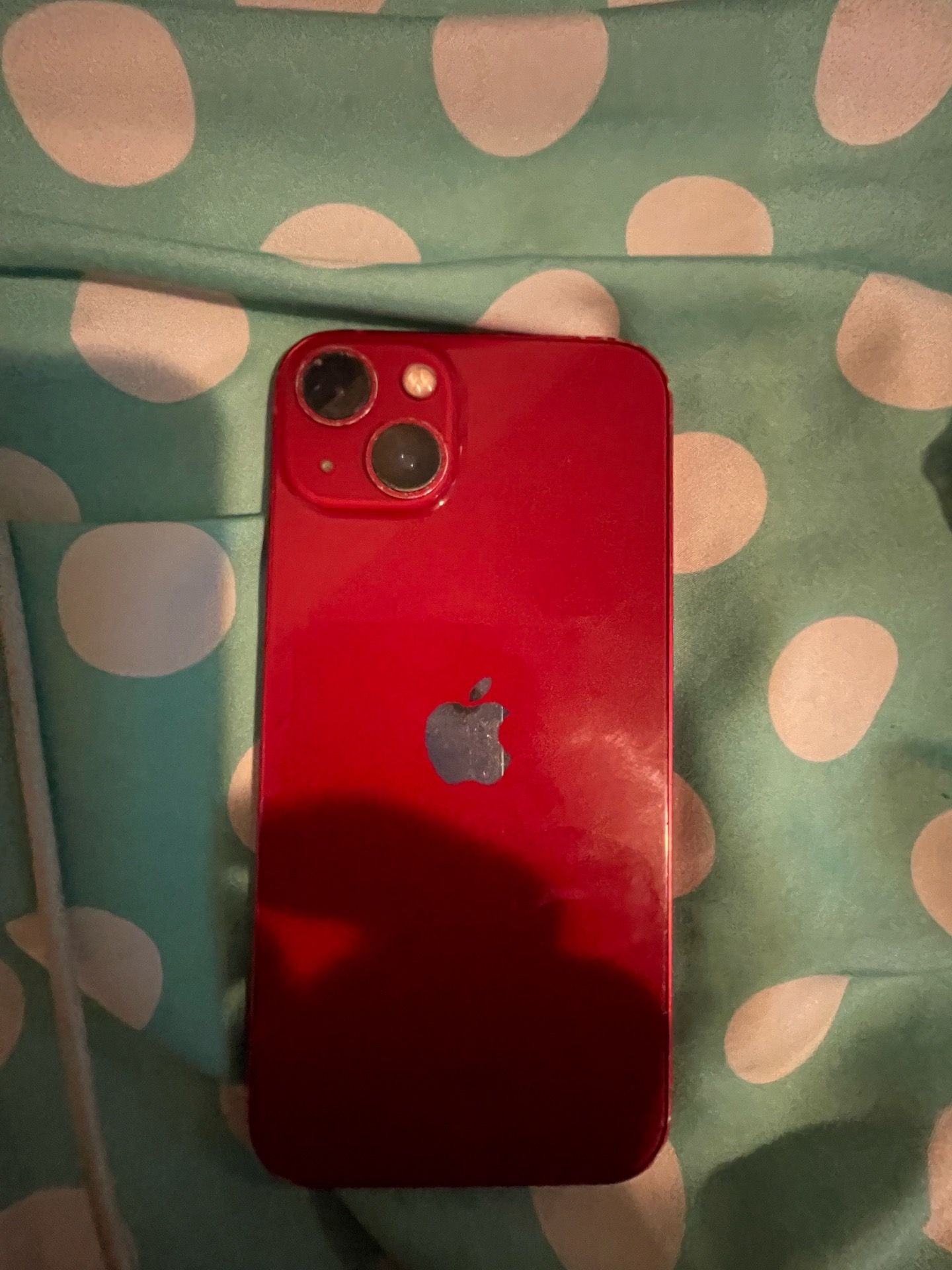 iPhone 13