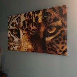 Cheetah Eyes