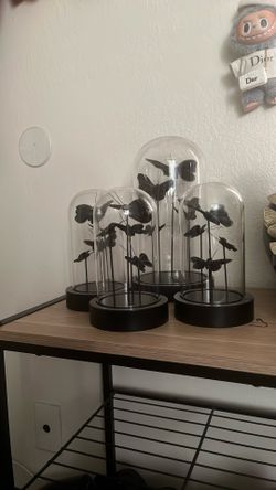 Butterfly Decor