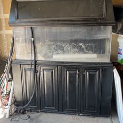 Fish Tank 