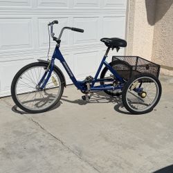 Torker Single Speed Trike 