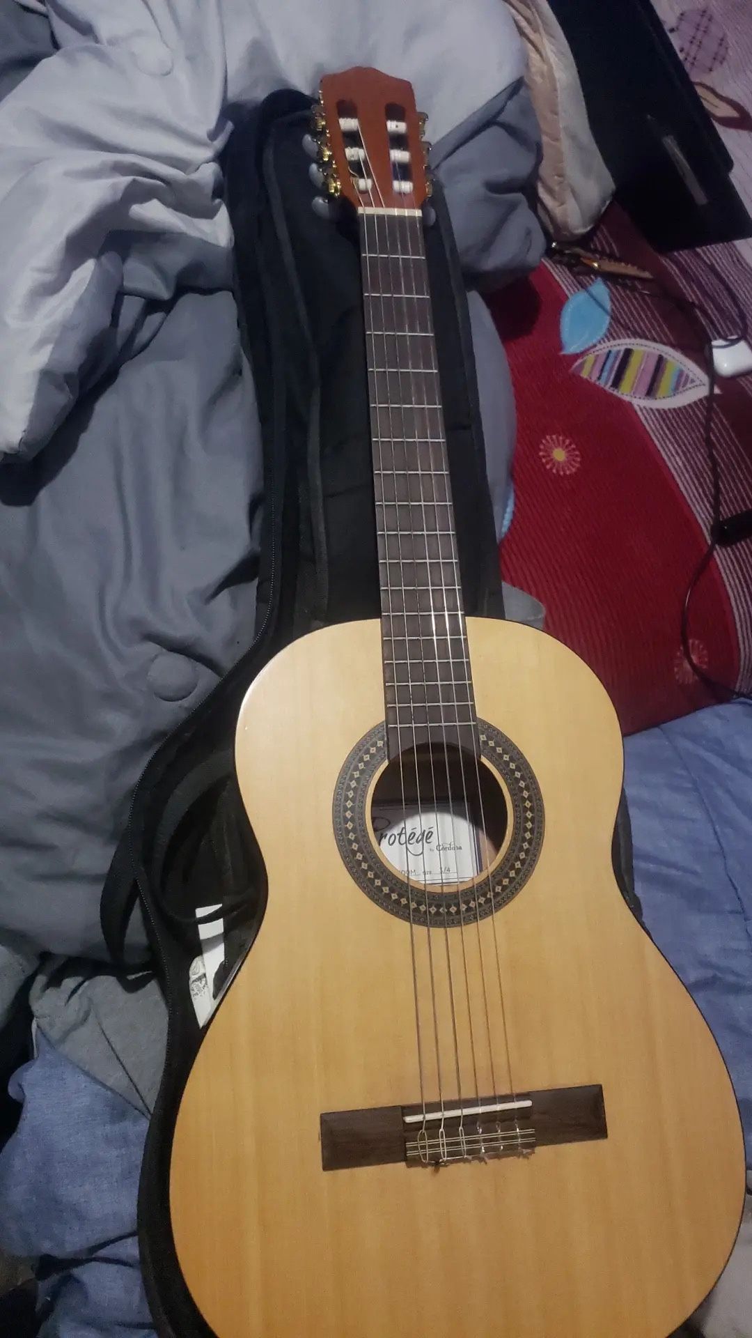 Guitars
