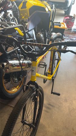 Fairdale Neckface Bike Large