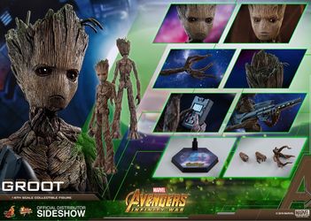 Hot toys marvel Groot Infinity War (PLEASE READ)