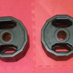 (2) 10lb IRON GRIP Olympic Size Rubber Barbell Weights 20lbs Total 